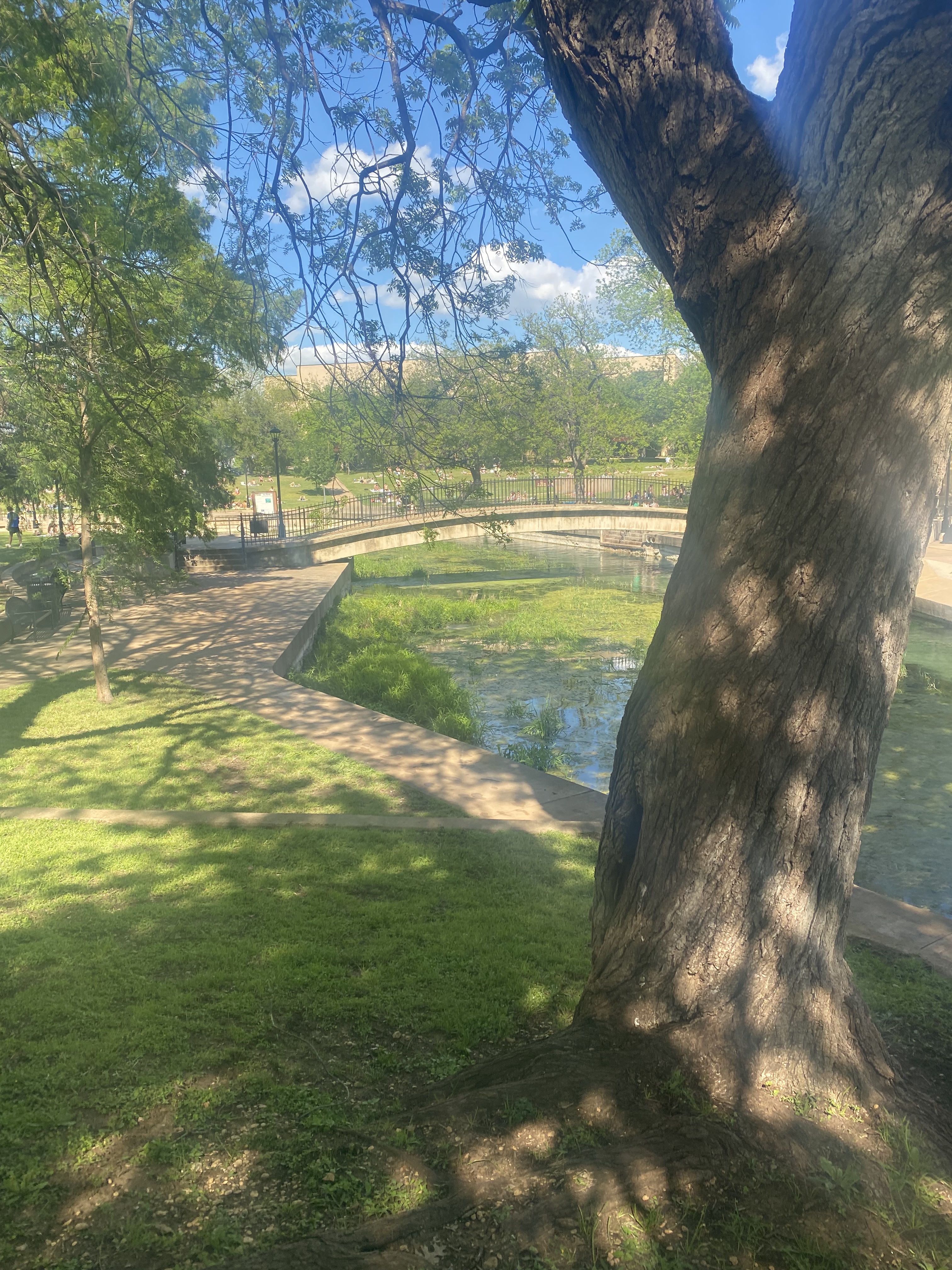 the San Marcos River